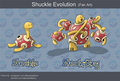 shuckle evolution